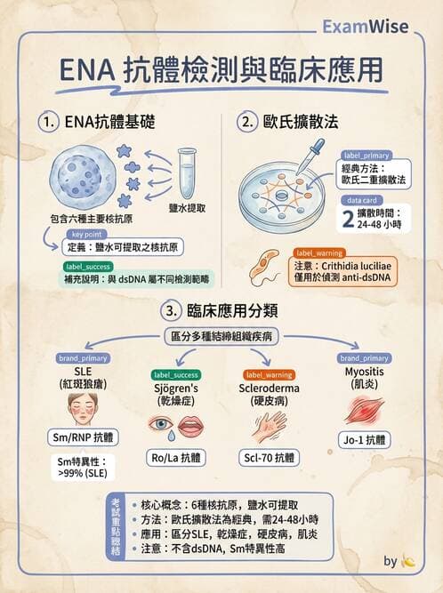 醫檢師 - 其他自體免疫疾病與自體抗體檢驗 - AI 圖文解析預覽