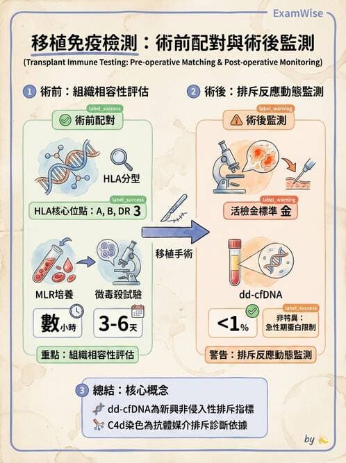 醫檢師 - 組織型與移植免疫學 - AI 圖文解析預覽
