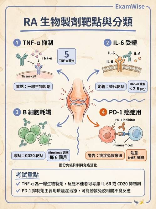 醫檢師 - 其他自體免疫疾病與自體抗體檢驗 - AI 圖文解析預覽