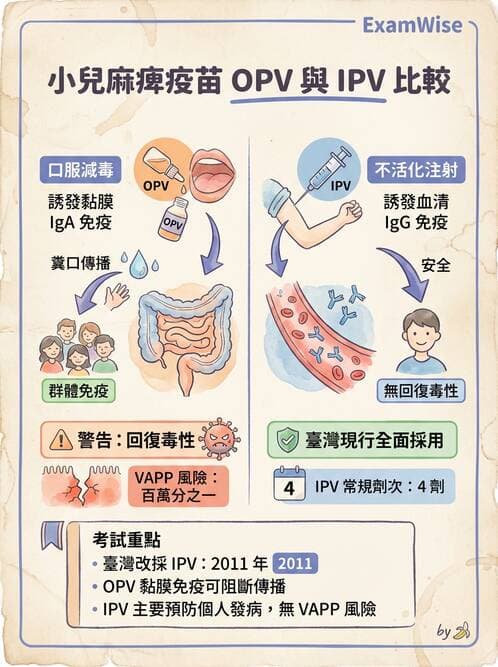 醫檢師 - 腫瘤免疫學免疫療法及疫苗 - AI 圖文解析預覽