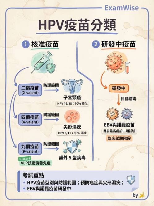 醫檢師 - 其他RNA病毒 - AI 圖文解析預覽