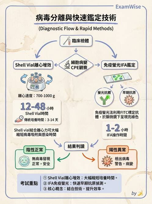 醫檢師 - 病毒檢驗技術 - AI 圖文解析預覽