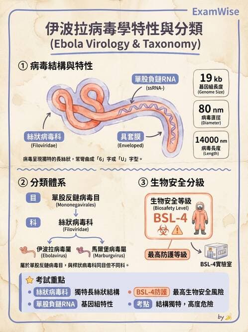 醫檢師 - 其他RNA病毒 - AI 圖文解析預覽