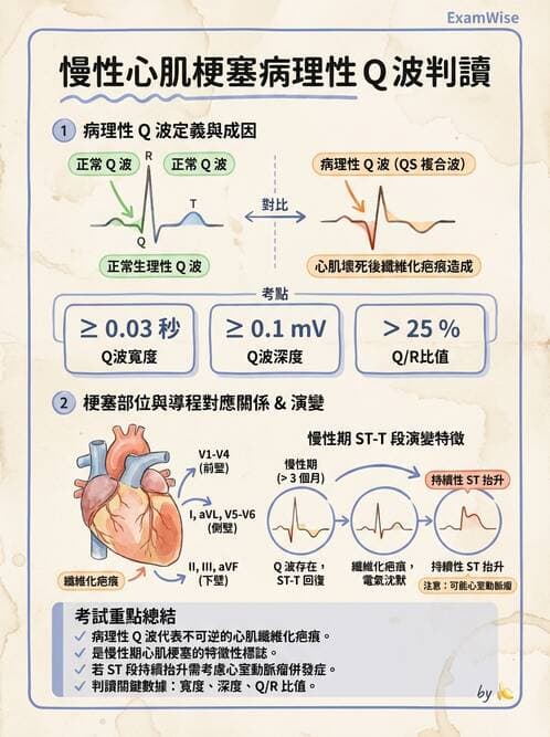 醫檢師 - 心肌病變與特殊心電圖 - AI 圖文解析預覽