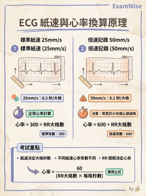 醫檢師 - 心電圖基礎與判讀 - AI 圖文解析預覽