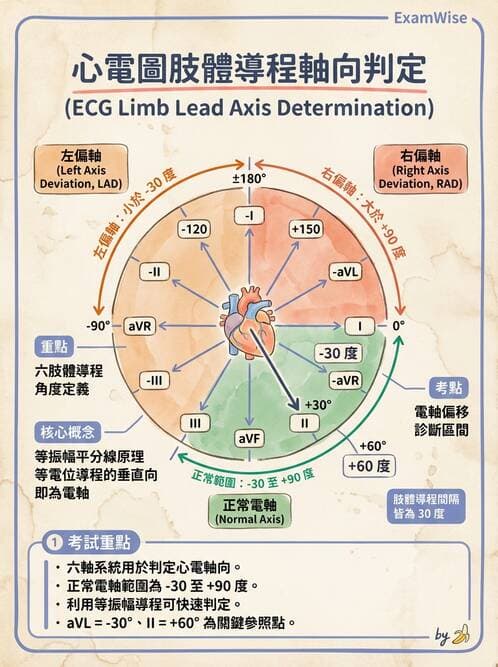 醫檢師 - 心電圖基礎與判讀 - AI 圖文解析預覽