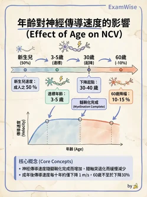 醫檢師 - 神經肌肉與睡眠檢查 - AI 圖文解析預覽