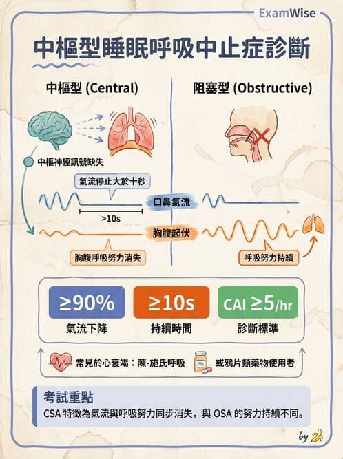 醫檢師 - 神經肌肉與睡眠檢查 - AI 圖文解析預覽