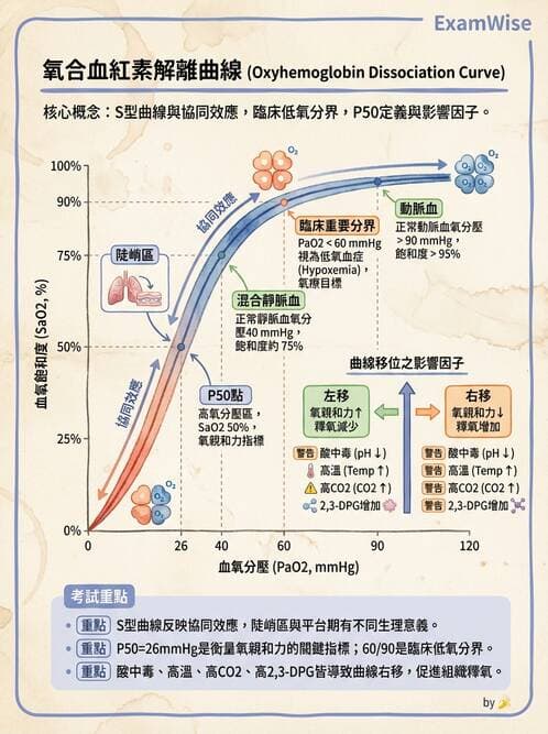 醫檢師 - 血液氣體分析 - AI 圖文解析預覽