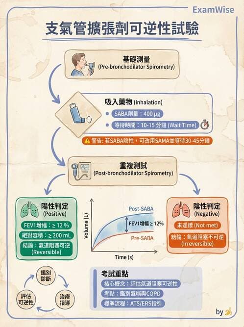 醫檢師 - 肺功能判讀與氣體交換 - AI 圖文解析預覽