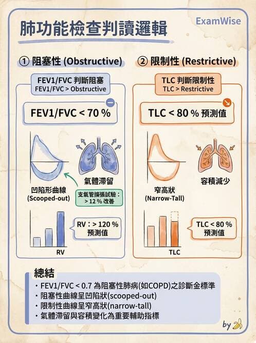 醫檢師 - 肺功能判讀與氣體交換 - AI 圖文解析預覽