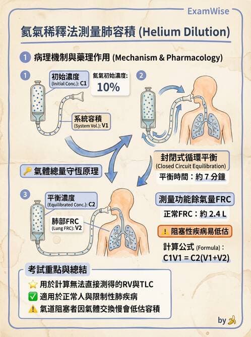 醫檢師 - 肺功能基礎與指標 - AI 圖文解析預覽