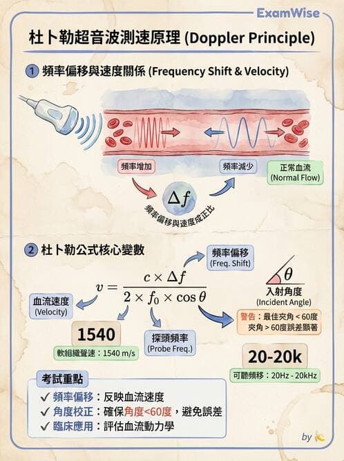 醫檢師 - 超音波檢查 - AI 圖文解析預覽