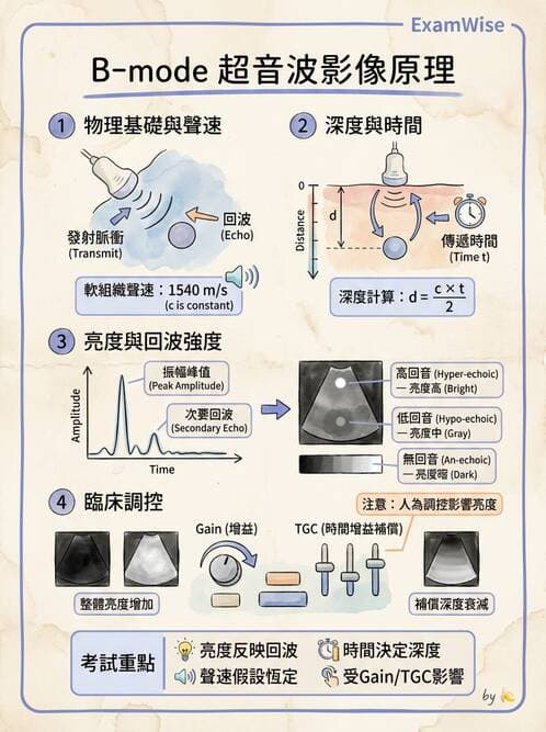 醫檢師 - 超音波檢查 - AI 圖文解析預覽