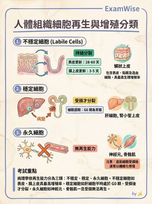 醫檢師 - 細胞傷害、發炎與修復 - AI 圖文解析預覽