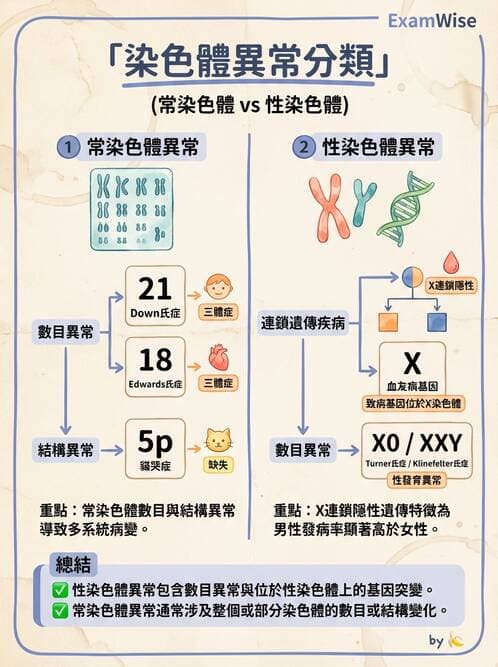 醫檢師 - 遺傳和發育疾病 - AI 圖文解析預覽