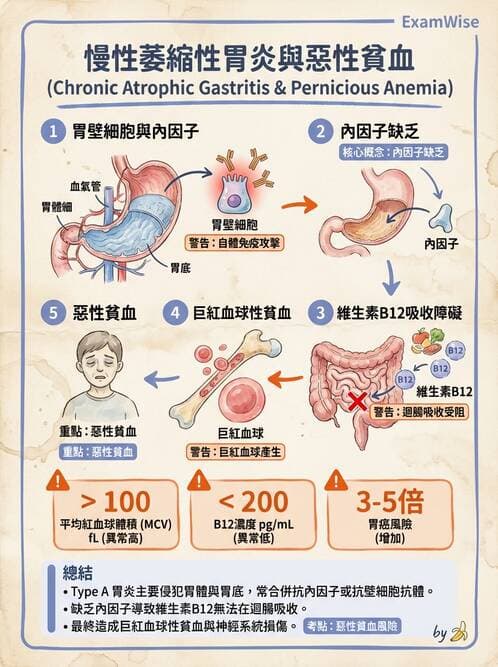 醫檢師 - 物理和化學傷害及營養疾病 - AI 圖文解析預覽