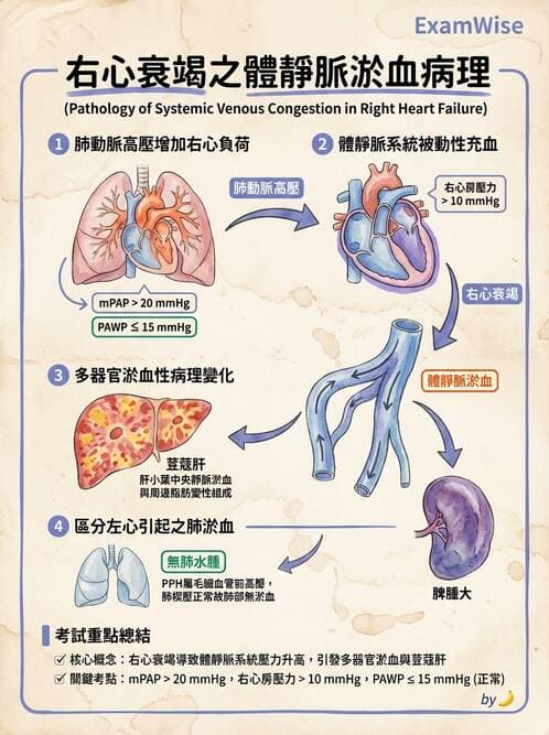 醫檢師 - 心血管疾病 - AI 圖文解析預覽
