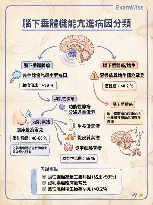 醫檢師 - 內分泌疾病 - AI 圖文解析預覽