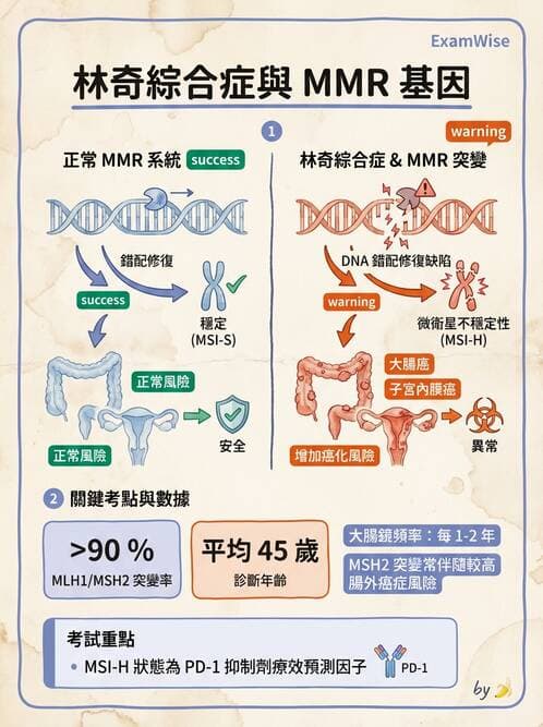 醫檢師 - 消化肝膽疾病 - AI 圖文解析預覽
