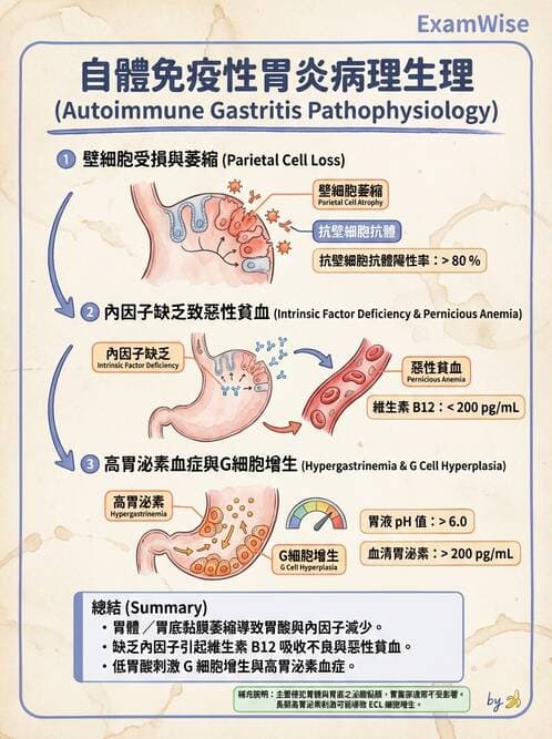 醫檢師 - 消化肝膽疾病 - AI 圖文解析預覽