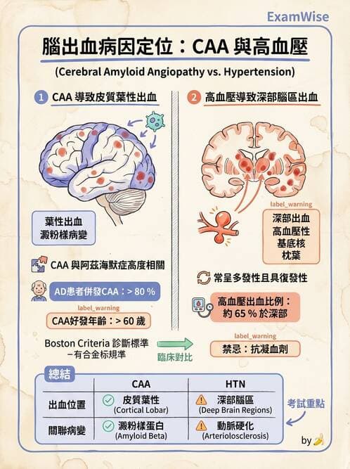 醫檢師 - 神經系統疾病 - AI 圖文解析預覽