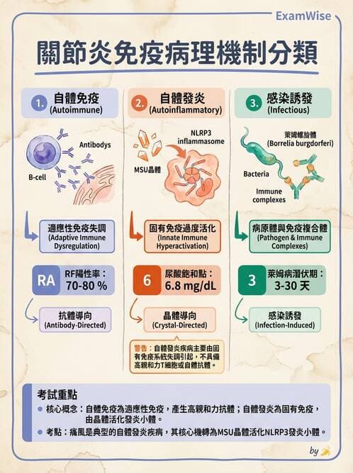 醫檢師 - 骨骼及軟組織疾病 - AI 圖文解析預覽