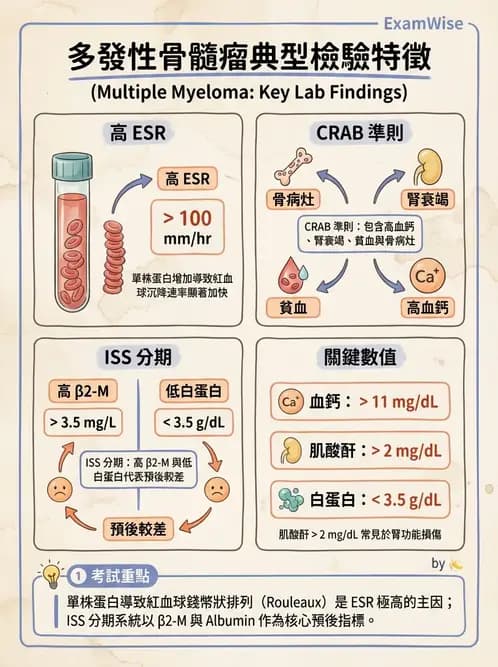 醫檢師 - 淋巴瘤、漿細胞疾病與白血球異常 - AI 圖文解析預覽