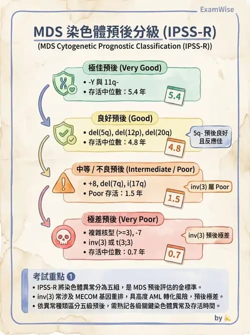 醫檢師 - 慢性血液腫瘤與骨髓增生疾患 - AI 圖文解析預覽
