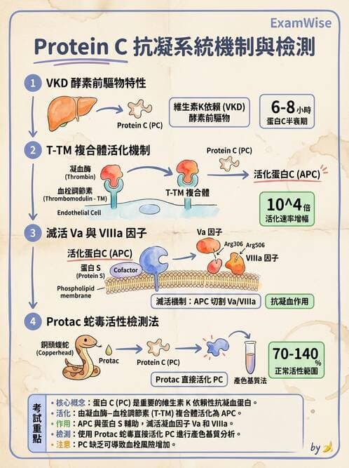 醫檢師 - 血栓性疾病與抗凝治療監測 - AI 圖文解析預覽