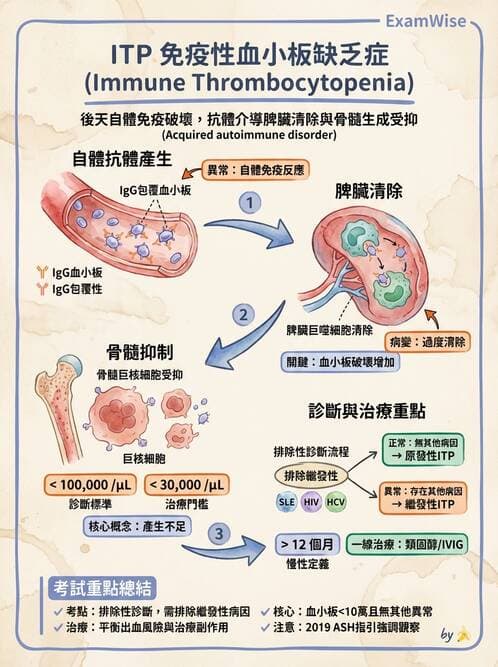 醫檢師 - 出血性疾病與檢驗 - AI 圖文解析預覽
