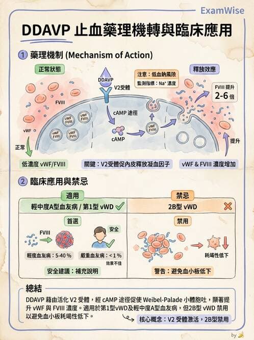 醫檢師 - 出血性疾病與檢驗 - AI 圖文解析預覽