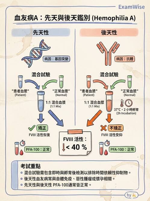 醫檢師 - 出血性疾病與檢驗 - AI 圖文解析預覽