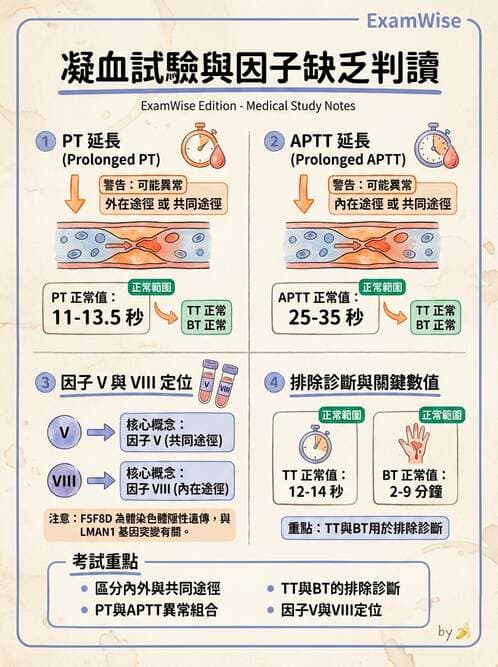 醫檢師 - 出血性疾病與檢驗 - AI 圖文解析預覽