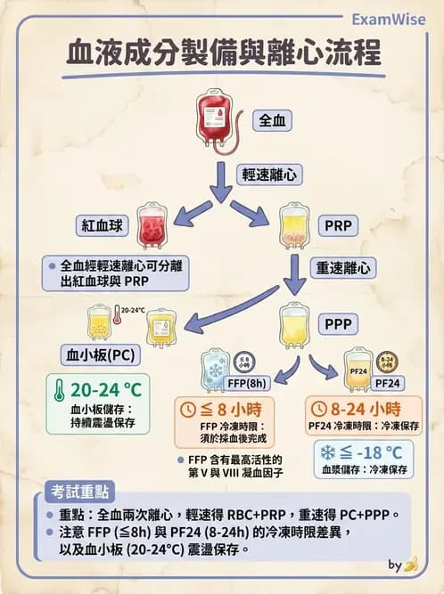 醫檢師 - 血液成分製備與輸血檢查 - AI 圖文解析預覽
