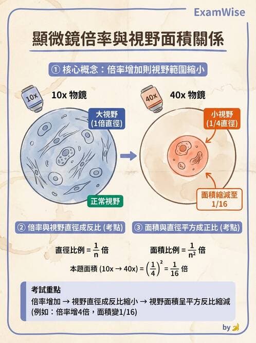 醫檢師 - 顯微鏡原理與操作 - AI 圖文解析預覽