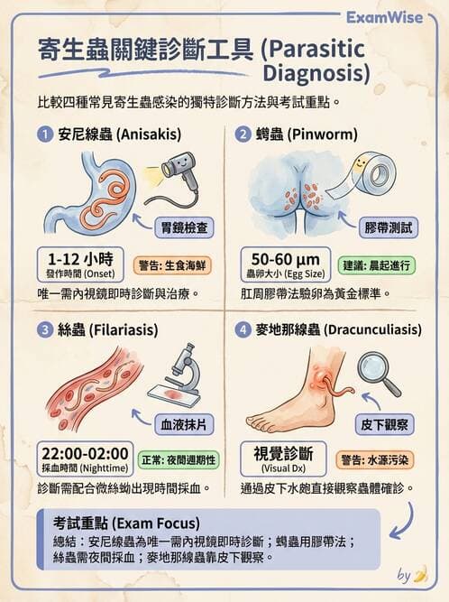 醫檢師 - 寄生蟲檢查-蠕蟲類 - AI 圖文解析預覽