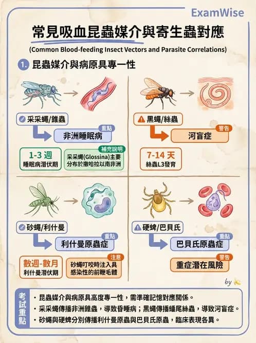 醫檢師 - 寄生蟲檢查-原蟲類 - AI 圖文解析預覽
