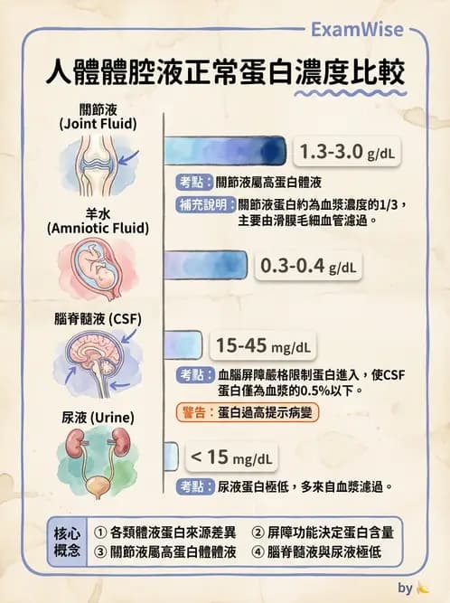 醫檢師 - 鏡檢綜合性試題 - AI 圖文解析預覽