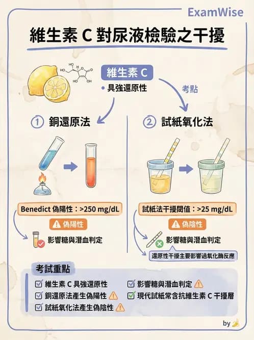 醫檢師 - 尿液化學檢驗 - AI 圖文解析預覽