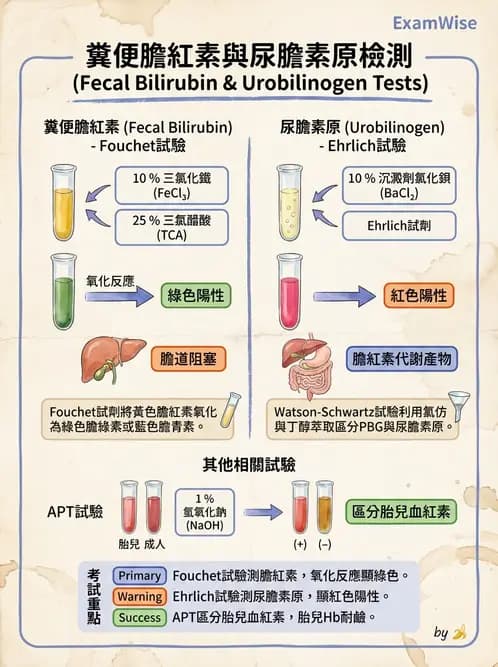 醫檢師 - 糞便常規檢查 - AI 圖文解析預覽