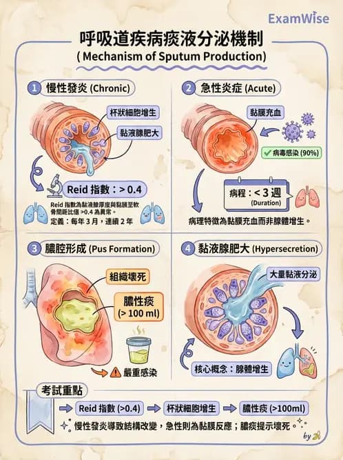 醫檢師 - 痰液一般鏡檢 - AI 圖文解析預覽