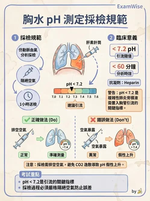 醫檢師 - 穿刺液檢查 - AI 圖文解析預覽
