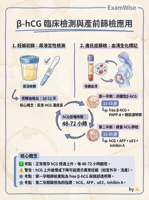醫檢師 - 鏡檢綜合性試題 - AI 圖文解析預覽
