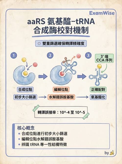 醫檢師 - 基礎分子生物學 - AI 圖文解析預覽