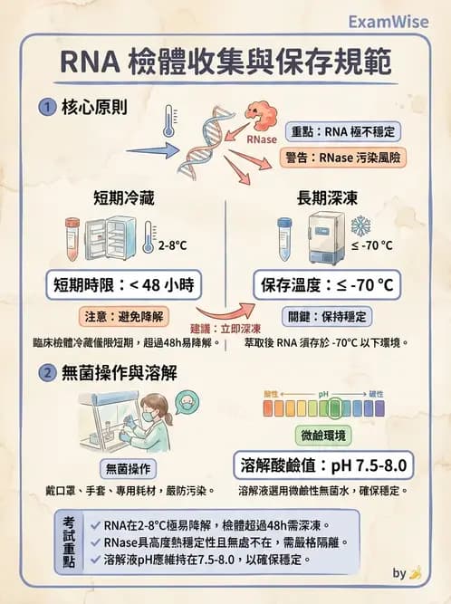 醫檢師 - 核酸擴增與萃取技術 - AI 圖文解析預覽