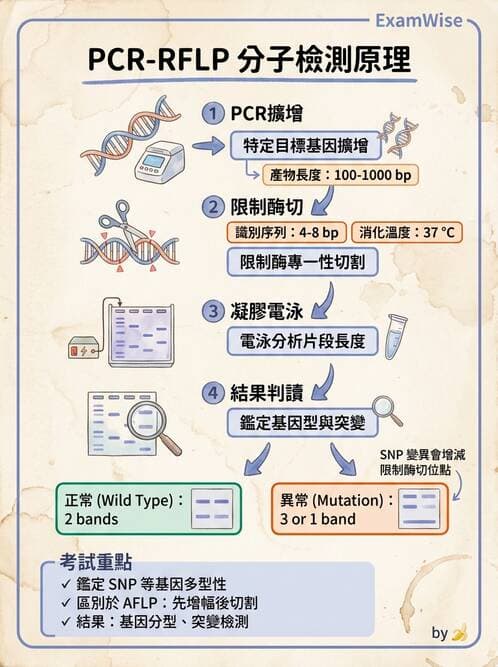 醫檢師 - 核酸擴增與萃取技術 - AI 圖文解析預覽