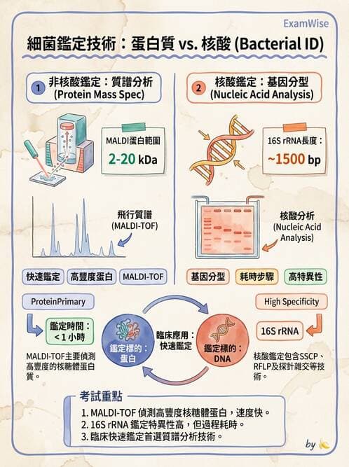 醫檢師 - 分子鑑定與應用技術 - AI 圖文解析預覽