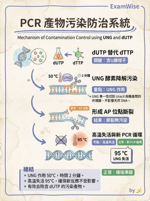醫檢師 - 核酸擴增與萃取技術 - AI 圖文解析預覽