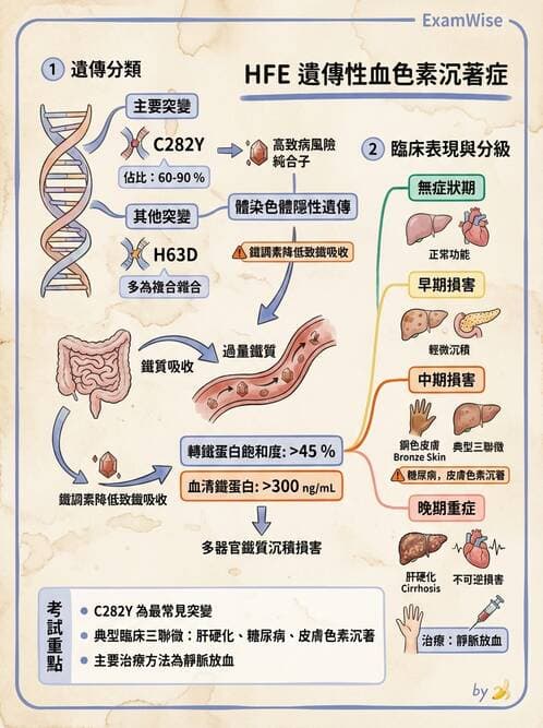 醫檢師 - 遺傳疾病基因檢測 - AI 圖文解析預覽